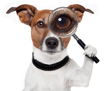 gemaakte fouten wordpress
